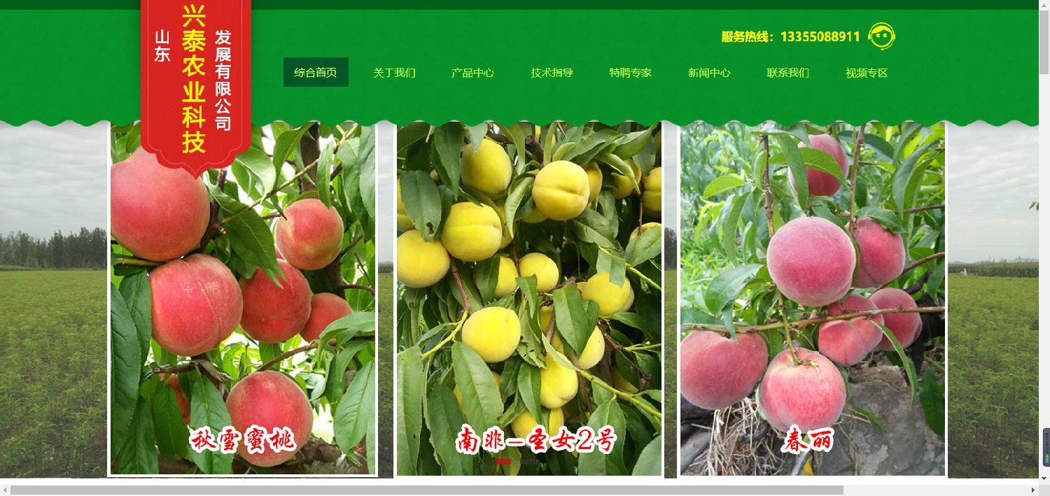 山东兴泰农业科技